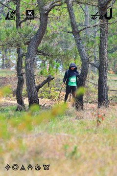 Dalat Ultra Trail 2026 - Ảnh #4876223