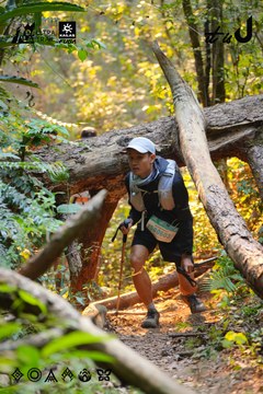 Dalat Ultra Trail 2026 - Ảnh #4913496