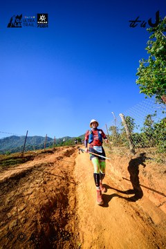 Dalat Ultra Trail 2026 - Ảnh #4912756