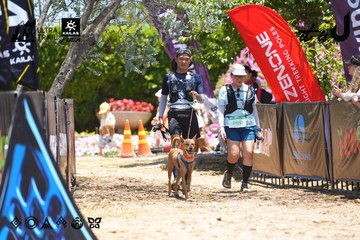 Dalat Ultra Trail 2026 - Ảnh #4699608