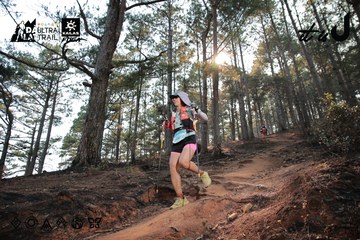 Dalat Ultra Trail 2026 - Ảnh #4740111