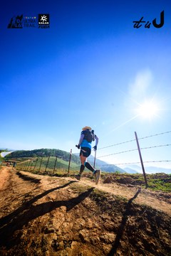 Dalat Ultra Trail 2026 - Ảnh #4912647