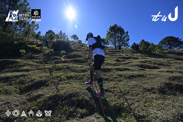 Dalat Ultra Trail 2026 - Ảnh #4731752