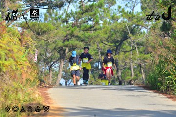 Dalat Ultra Trail 2026 - Ảnh #4781057