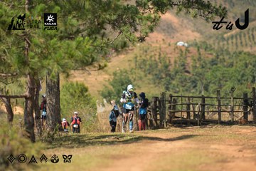 Dalat Ultra Trail 2026 - Ảnh #4717668