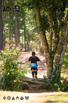 Dalat Ultra Trail 2026 - Ảnh #4908239