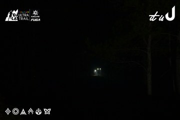 Dalat Ultra Trail 2026 - Ảnh #4750999