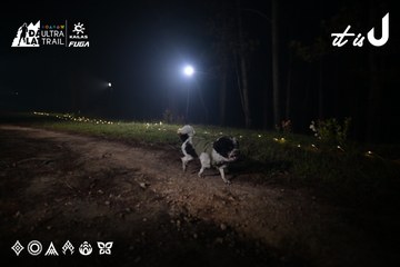 Dalat Ultra Trail 2026 - Ảnh #4704901