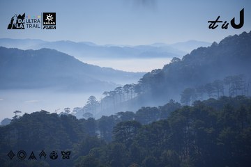 Dalat Ultra Trail 2026 - Ảnh #4909176
