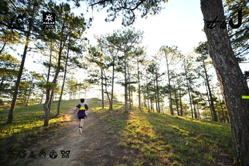 Dalat Ultra Trail 2026 - Ảnh #4909683