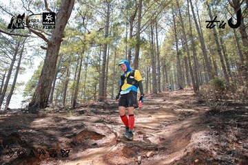 Dalat Ultra Trail 2026 - Ảnh #4738761