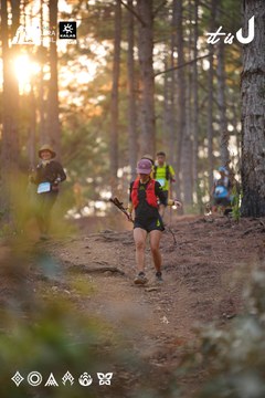 Dalat Ultra Trail 2026 - Ảnh #4913558