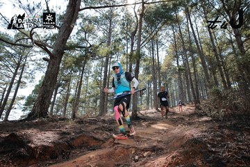 Dalat Ultra Trail 2026 - Ảnh #4739292