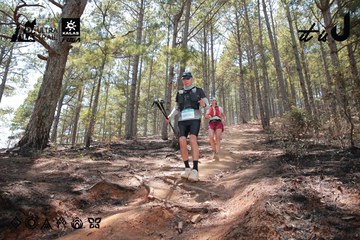 Dalat Ultra Trail 2026 - Ảnh #4738743