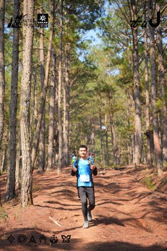 Dalat Ultra Trail 2026 - Ảnh #4913285