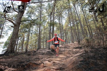 Dalat Ultra Trail 2026 - Ảnh #4738970