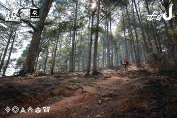 Dalat Ultra Trail 2026 - Ảnh #4739509