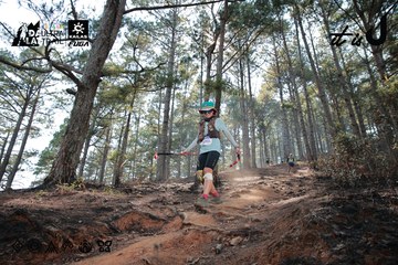 Dalat Ultra Trail 2026 - Ảnh #4739574