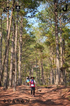 Dalat Ultra Trail 2026 - Ảnh #4913289