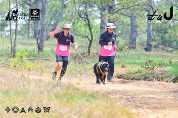 Dalat Ultra Trail 2026 - Ảnh #4874782