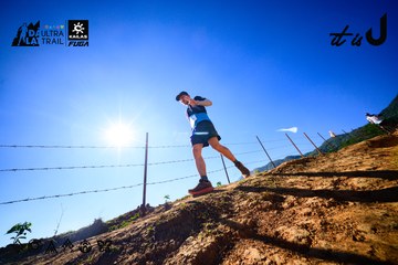 Dalat Ultra Trail 2026 - Ảnh #4912774