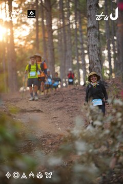 Dalat Ultra Trail 2026 - Ảnh #4913570