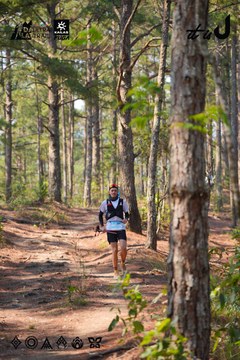 Dalat Ultra Trail 2026 - Ảnh #4913375