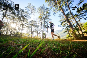 Dalat Ultra Trail 2026 - Ảnh #4912511