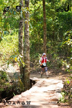 Dalat Ultra Trail 2026 - Ảnh #4908797