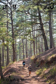 Dalat Ultra Trail 2026 - Ảnh #4913262