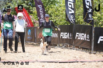 Dalat Ultra Trail 2026 - Ảnh #4746770
