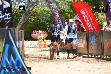 Dalat Ultra Trail 2026 - Ảnh #4699616