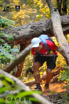 Dalat Ultra Trail 2026 - Ảnh #4913493