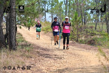 Dalat Ultra Trail 2026 - Ảnh #4831794