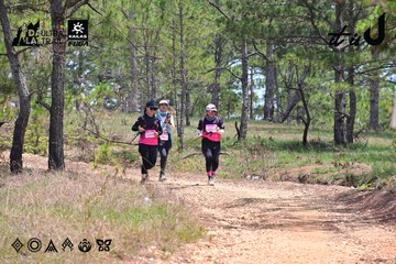 Dalat Ultra Trail 2026 - Ảnh #4831962