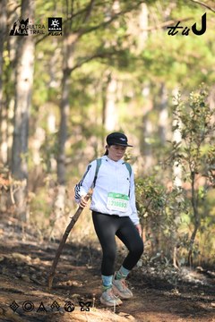 Dalat Ultra Trail 2026 - Ảnh #4878961