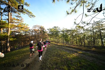 Dalat Ultra Trail 2026 - Ảnh #4910105