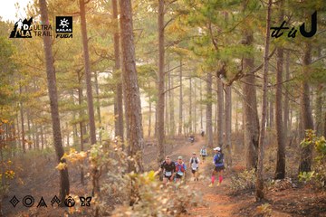 Dalat Ultra Trail 2026 - Ảnh #4913613