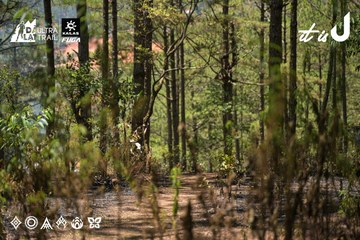 Dalat Ultra Trail 2026 - Ảnh #4717894