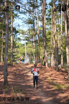 Dalat Ultra Trail 2026 - Ảnh #4913443