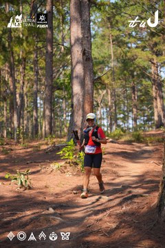 Dalat Ultra Trail 2026 - Ảnh #4913335