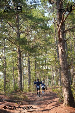 Dalat Ultra Trail 2026 - Ảnh #4913406