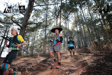Dalat Ultra Trail 2026 - Ảnh #4739909