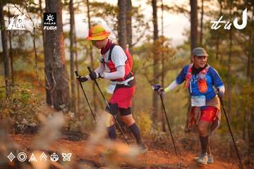 Dalat Ultra Trail 2026 - Ảnh #4913668