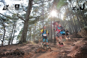 Dalat Ultra Trail 2026 - Ảnh #4739905