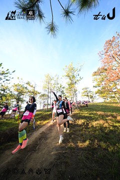 Dalat Ultra Trail 2026 - Ảnh #4910768