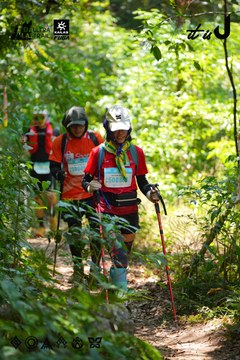 Dalat Ultra Trail 2026 - Ảnh #4913026