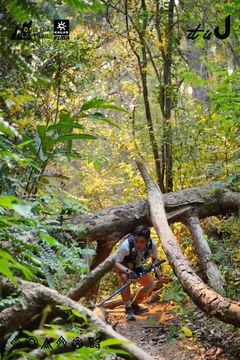 Dalat Ultra Trail 2026 - Ảnh #4913498