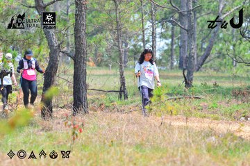 Dalat Ultra Trail 2026 - Ảnh #4875194