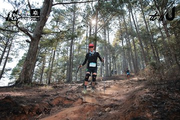Dalat Ultra Trail 2026 - Ảnh #4739726
